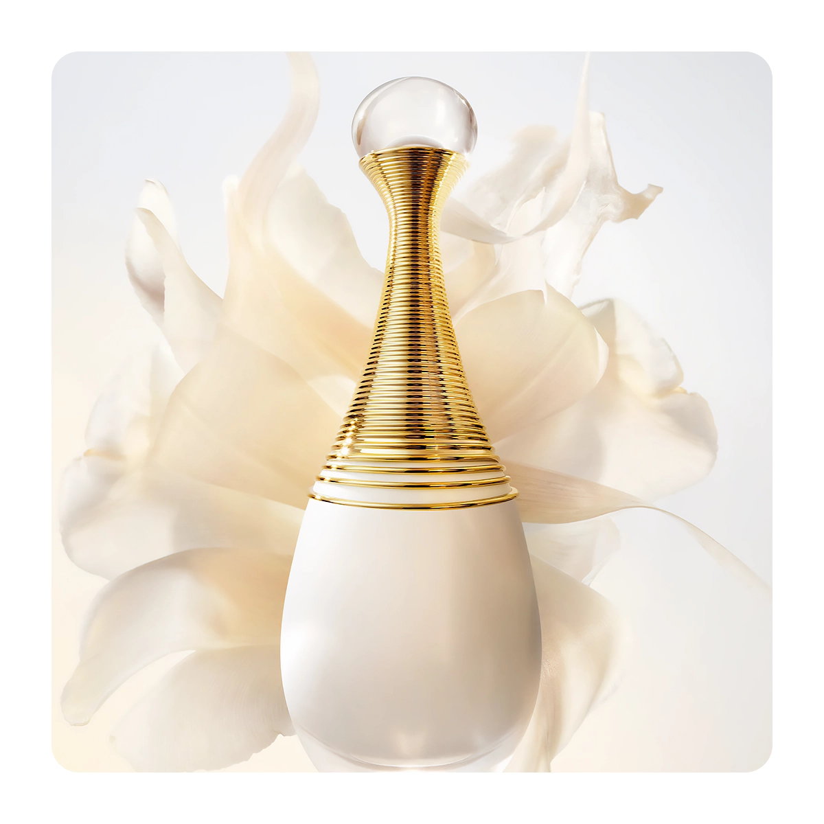 Jadore-Parfum-dEau-Eau-de-