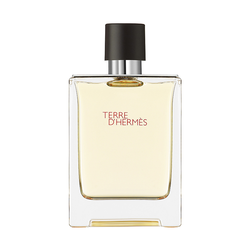 Terre d'Hermès Eau de Toilette 100 ml - Hermès - Dperfumes.cl