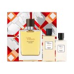 Set Terre d'Hermès Eau Intense Vétiver Eau de Parfum 100 ml - Hermès