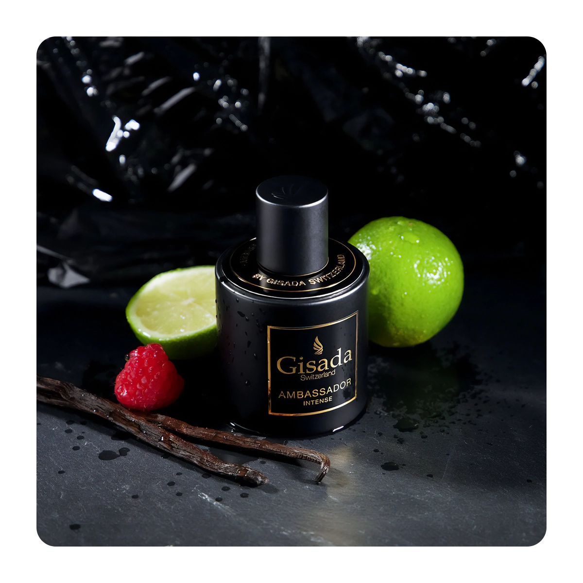 Ambassador Intense Eau de Parfum 100 ml - Gisada - Dperfumes.cl