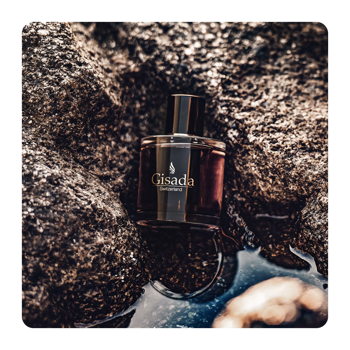 Ambassador for Men Eau de Parfum 100 ml - Gisada - Dperfumes.cl