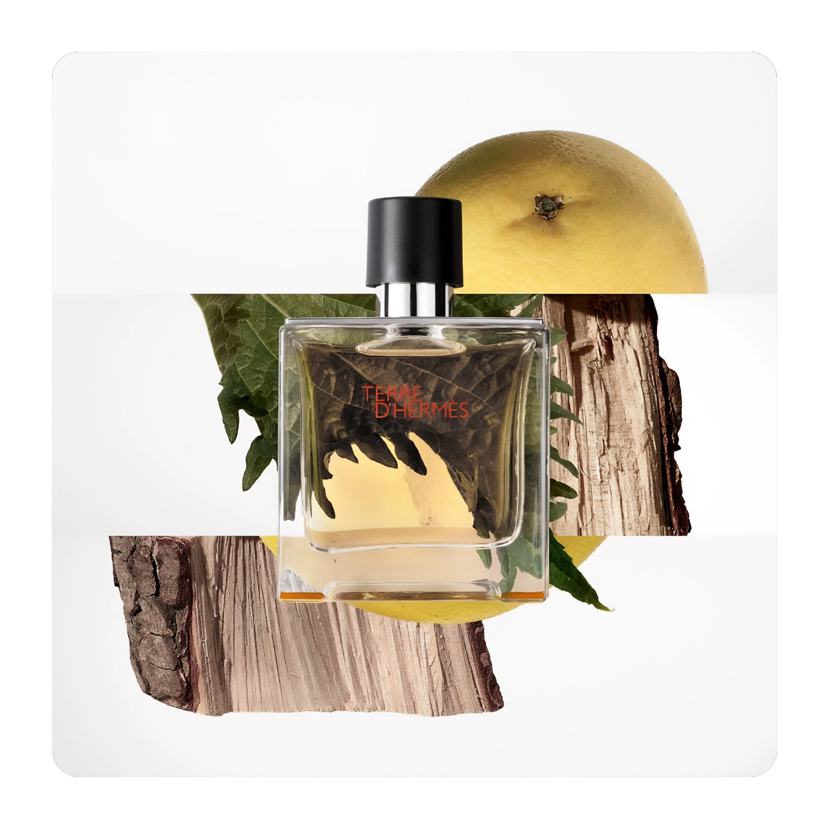 Terre d'Hermès Parfum 200 ml - Hermès - Dperfumes.cl