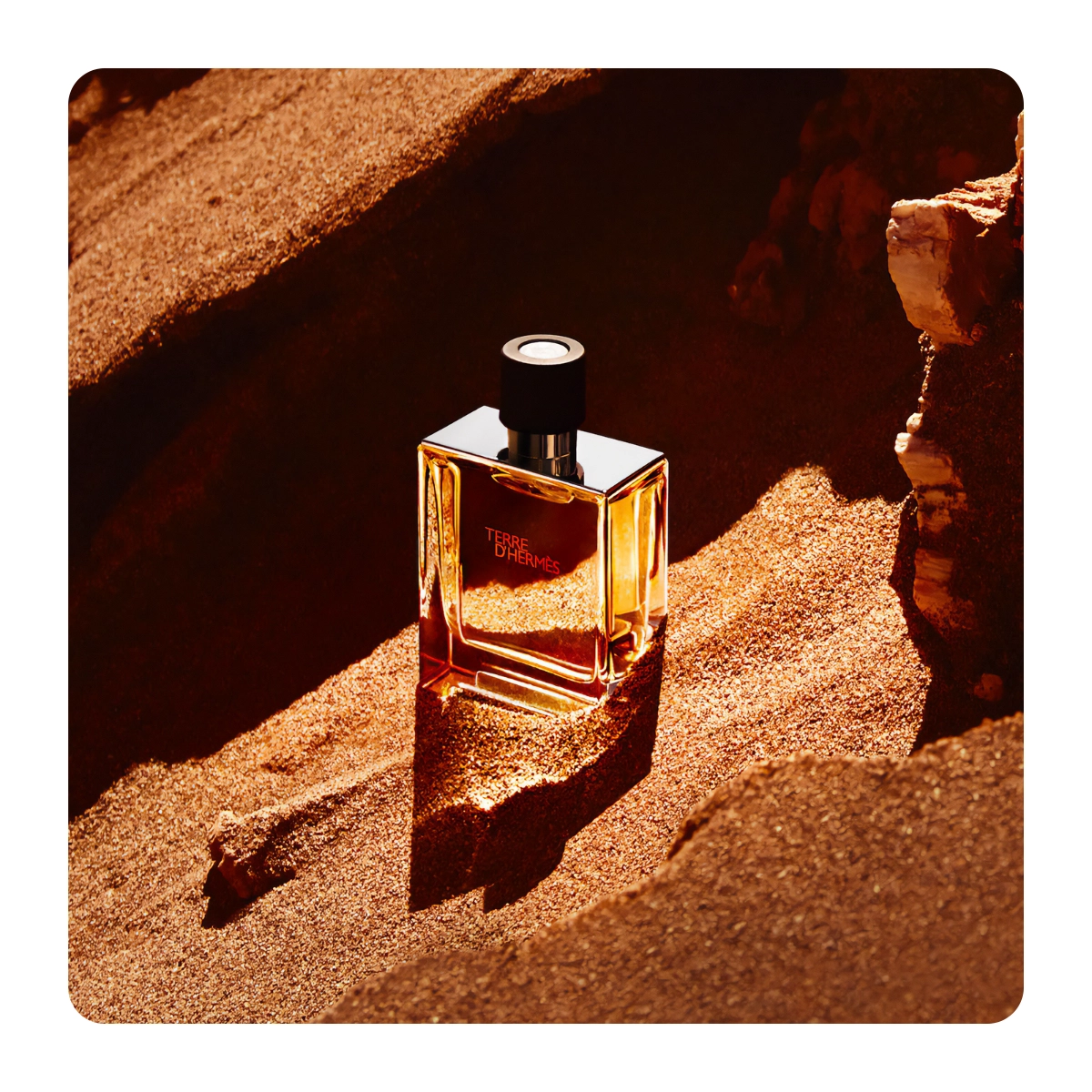 Terre-dHermes-Parfum-02.webp