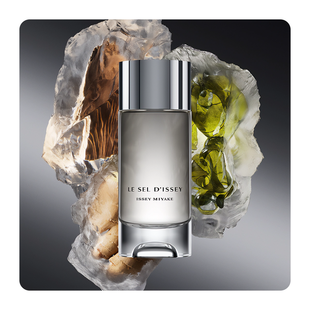 Le-Sel-dIssey-Eau-de-Toilette-