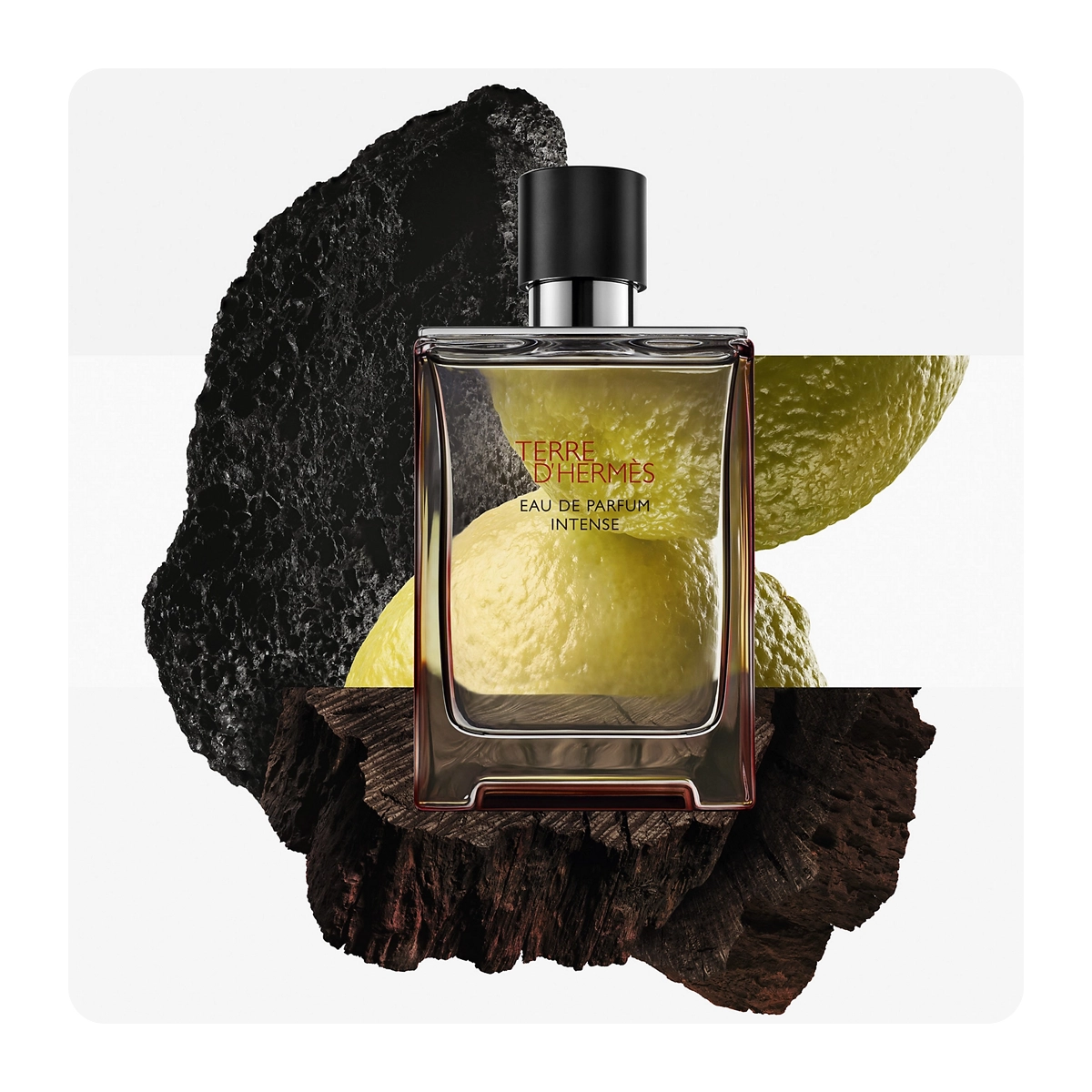 Terre d'Hermès Eau de Parfum Intense 100 ml - Hermès - Dperfumes.cl
