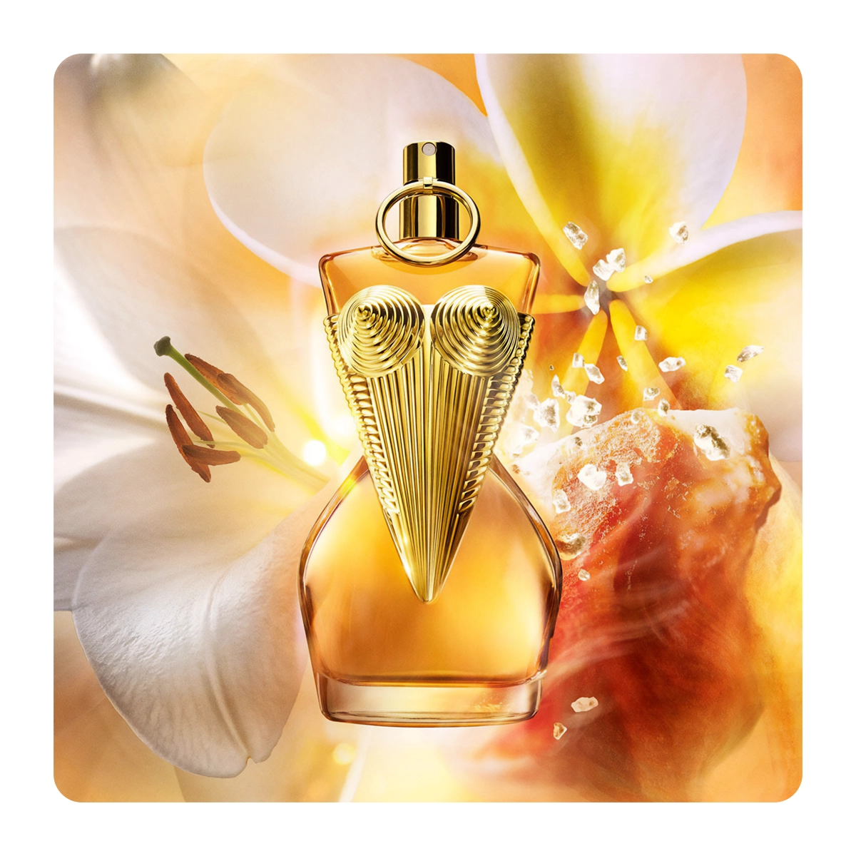 gaultier-divine-le-parfum-eau-