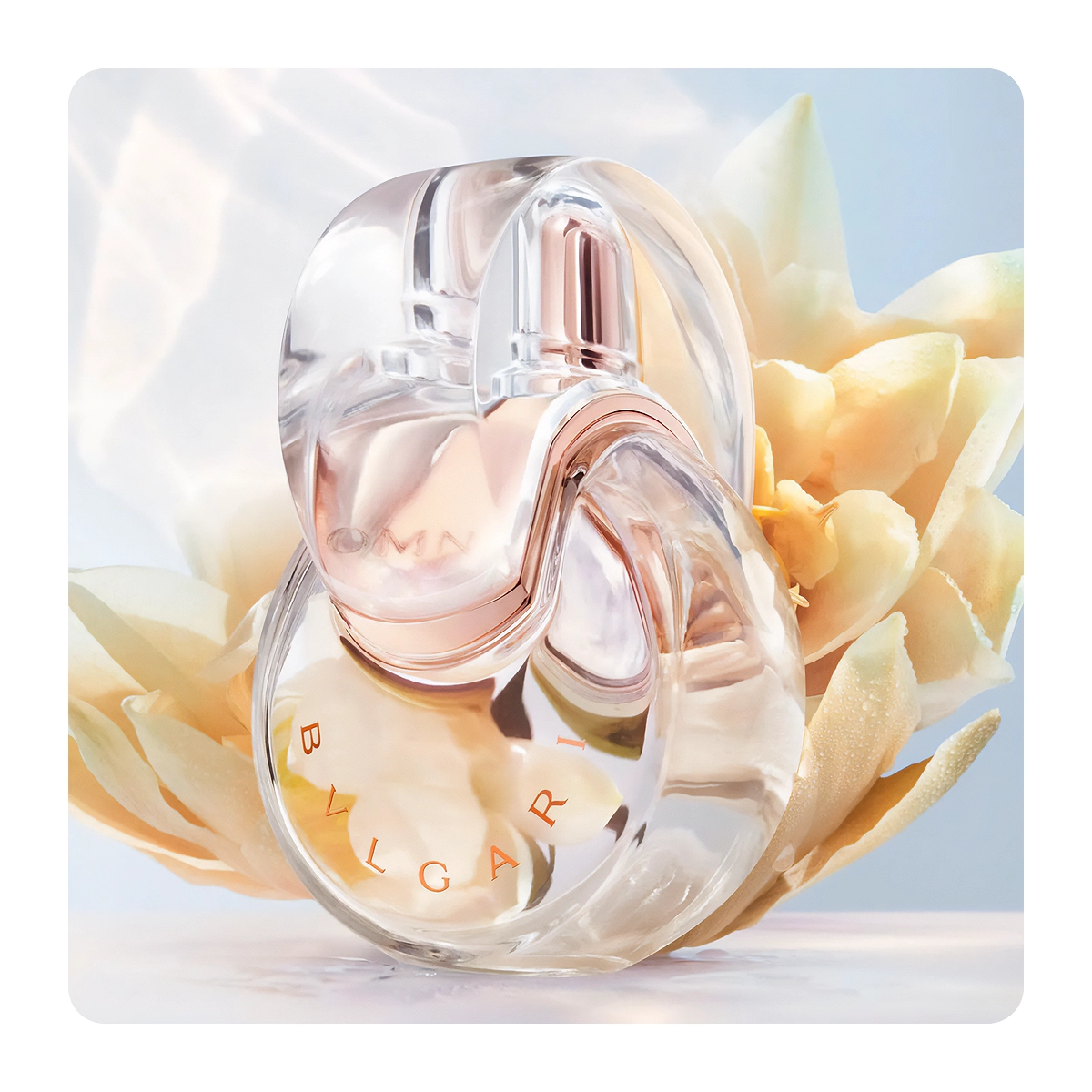Omnia Crystalline Eau de Toilette 100 ml - Bvlgari - Dperfumes.cl